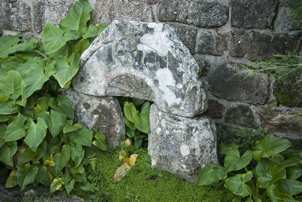 Casa De Santa Comba Villa Cabeceiras de Basto Eksteriør billede